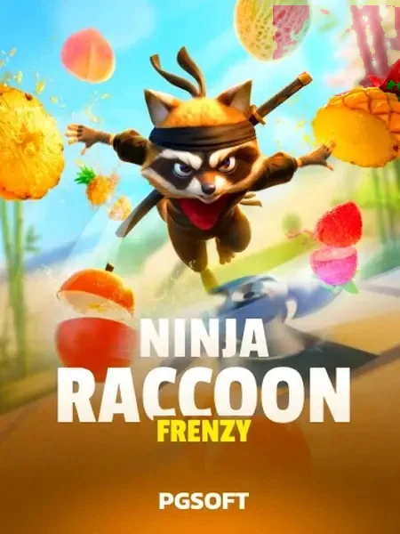 Ninja Raccoon Frenzy