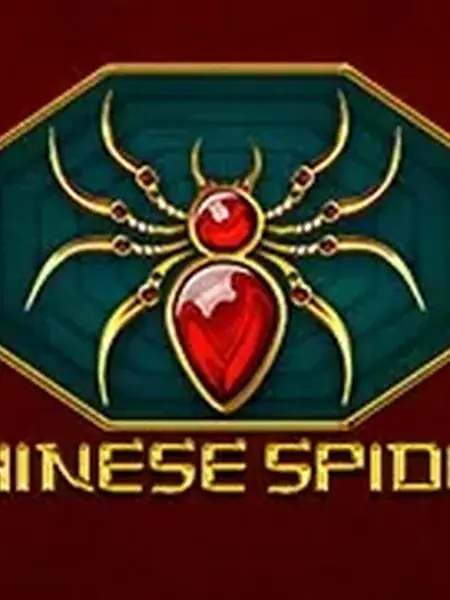 Chinese Spider