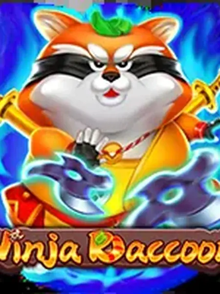 Ninja Raccoon