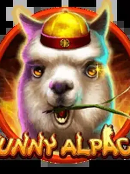 Funny Alpaca