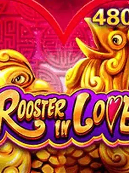 ROOSTER IN LOVE