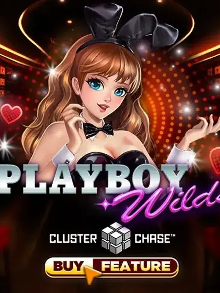 Playboy Wilds