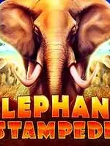 Elephant Stampede